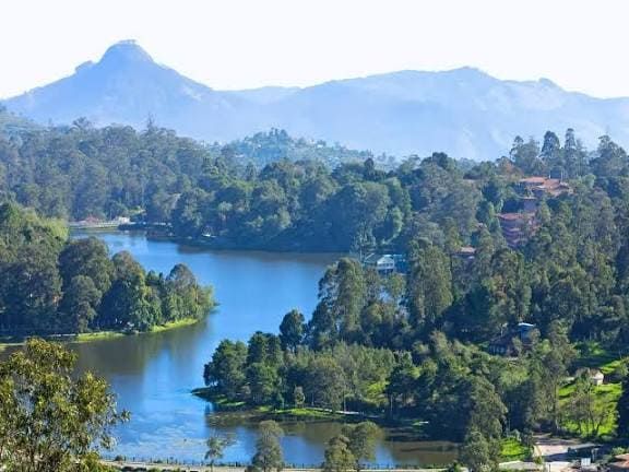 Bengaluru/Mysuru to Ooty & Kodaikanal Romance
