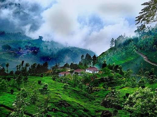 Bengaluru / Mysuru to Coorg (Scotland of India)