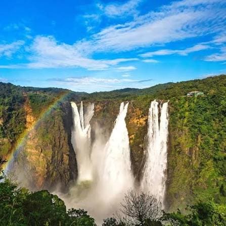 Bengaluru / Mysuru to Jog Falls Nature Tour
