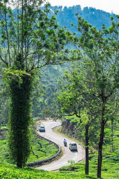 Bengaluru / Mysuru to Wayanad