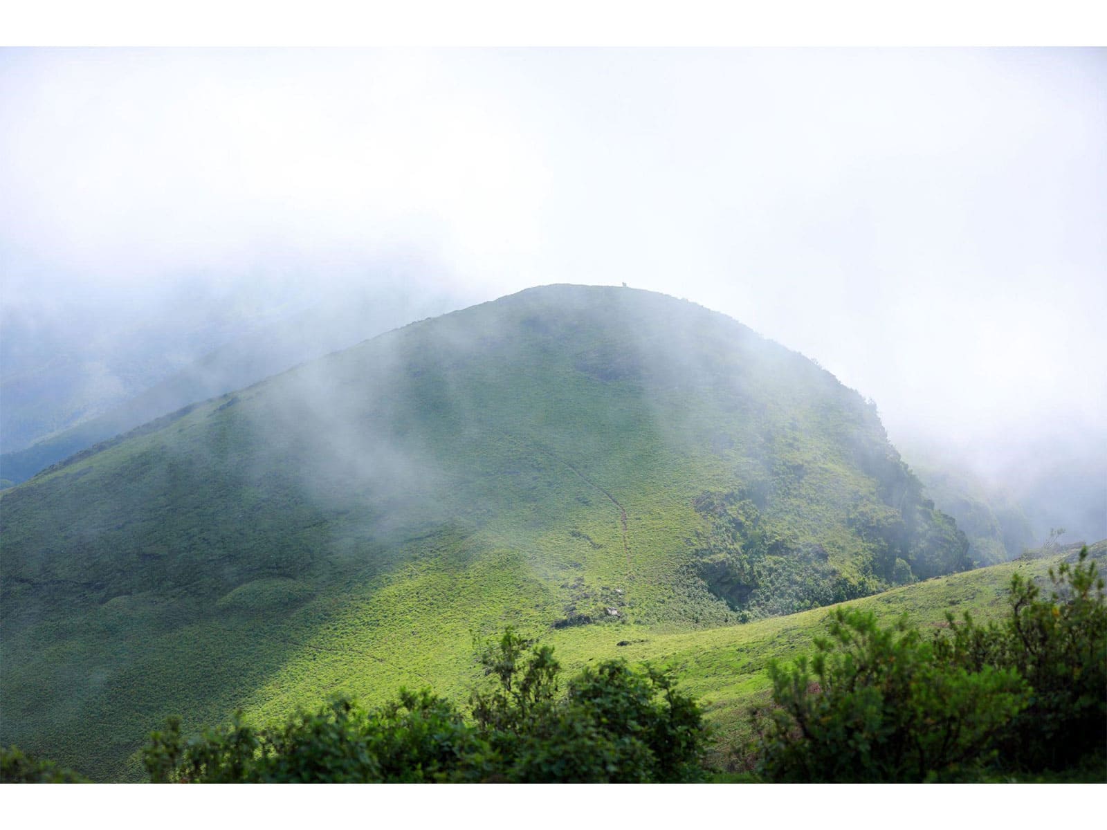 Bengaluru/Mysuru to Chikmagalur & Kemmangundi Adventure